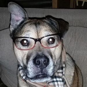 Meet your Posher, Joelle